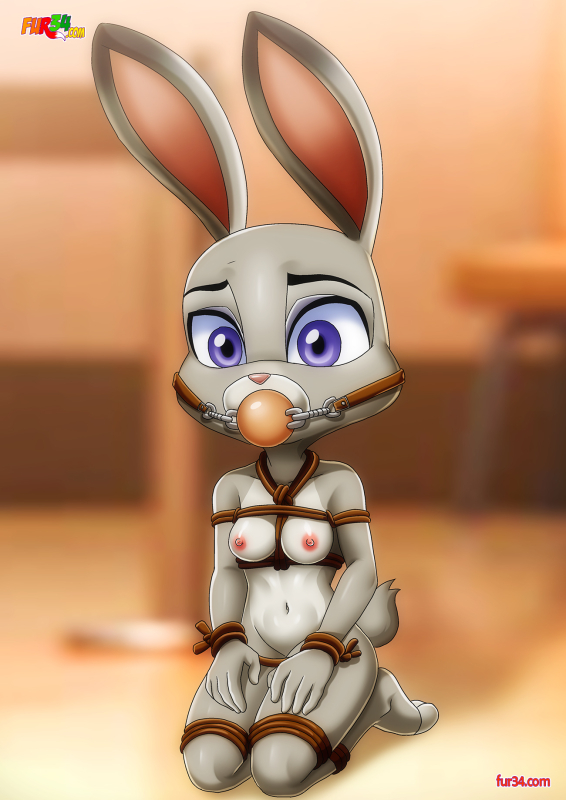 judy hopps